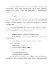 Lizingo kompanijų veikla Lietuvoje 13 puslapis