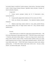 Lizingo kompanijų veikla Lietuvoje 15 puslapis