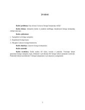 Lizingo kompanijų veikla Lietuvoje 2 puslapis