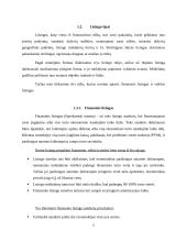 Lizingo kompanijų veikla Lietuvoje 4 puslapis