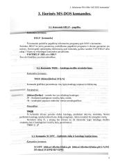 MS-DOS komandos 9 puslapis