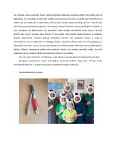 Laiškas Lietuvos prezidentui 2 puslapis