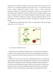 Mutacijos ir jų panaudojimas augalų selekcijoje 7 puslapis