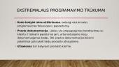 Ekstremalusis programavimas 14 puslapis