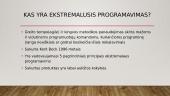 Ekstremalusis programavimas 3 puslapis