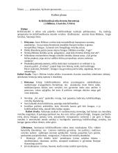 Krikščioniškoji etika lietuvių literatūroje ( J. Biliūnas, J. Savickis, S. Nėris) 3 puslapis