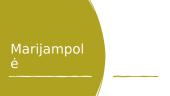 Marijampolė pristatymas