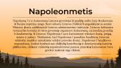 Apie Napoleonmetį 4 puslapis