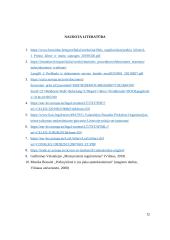 Pagrindiniai prekių kilmės įrodymo dokumentai: jų rūšys bei klasifikavimas 12 puslapis