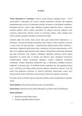 Pagrindiniai prekių kilmės įrodymo dokumentai: jų rūšys bei klasifikavimas 3 puslapis