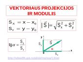 Kinematikos skaidrės 8 puslapis