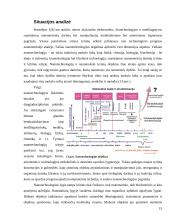 Nanotechnologija 15 puslapis