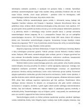 Nanotechnologija 16 puslapis