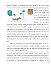 Nanotechnologija 5 puslapis