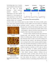 Nanotechnologija 6 puslapis