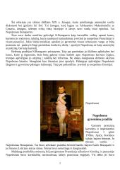 Napoleono Bonaparto pristatymas 2 puslapis