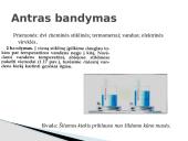 Šilumos kiekis – kas tai?  5 puslapis