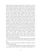 Narkomanija ir jos poveikis sveikatai 11 puslapis