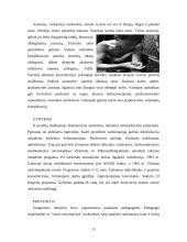 Narkomanija ir jos poveikis sveikatai 13 puslapis