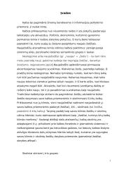 Naujažodžiai, jų vartojimas spaudoje 2 puslapis