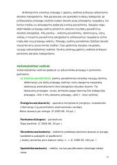 Naujažodžiai, jų vartojimas spaudoje 13 puslapis