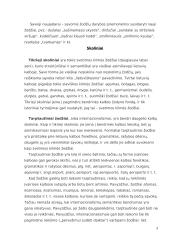 Naujažodžiai, jų vartojimas spaudoje 4 puslapis