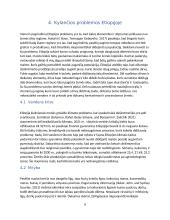 Bado mažinimas, tvari žemdirbystė 8 puslapis