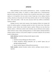 Nėštumas kaip ritualas 2 puslapis