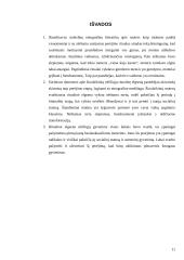 Nėštumas kaip ritualas 11 puslapis