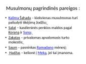 Arabai ir Islamo atsiradimas 7 puslapis