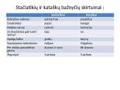 Bizantijos imperija 395 – 1453 m. 9 puslapis