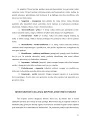 Asmenybės teorijų apžvalga 11 puslapis