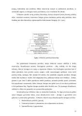 Asmenybės teorijų apžvalga 13 puslapis