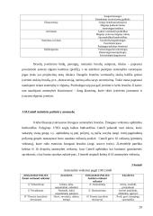 Asmenybės teorijų apžvalga 20 puslapis