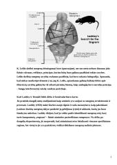 Neurobiologinė mokymosi teorija 5 puslapis