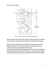 Neurobiologinė mokymosi teorija 10 puslapis
