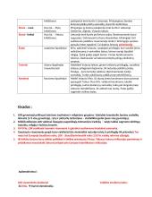 LDK visuomenė XIII – XVI a. I pusė 11 puslapis