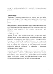 Neverbalinės kūno kalbos svarba verslo aplinkoje 5 puslapis