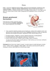 Hipofizė (posmegeninė liauka) 5 puslapis