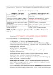 Naujieji laikai - XVI a. (pereinamasis laikotarpis) 2 puslapis