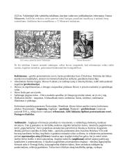 Naujieji laikai - XVI a. (pereinamasis laikotarpis) 15 puslapis