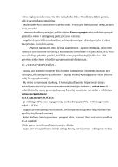 Naujieji laikai - XVI a. (pereinamasis laikotarpis) 3 puslapis