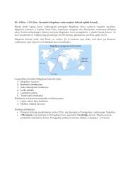 Naujieji laikai - XVI a. (pereinamasis laikotarpis) 8 puslapis