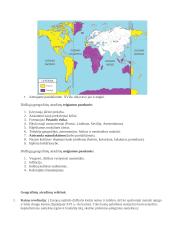 Naujieji laikai - XVI a. (pereinamasis laikotarpis) 9 puslapis