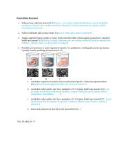 Osmoso reiškinio tyrimas 2 puslapis