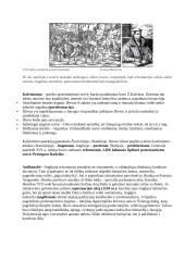 Reformacija (1517 m.) ir kontrreformacija 6 puslapis