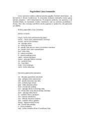 Operacinė sistema Linux ir jos ypatumai 7 puslapis