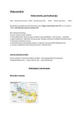 Viduramžių periodizacija