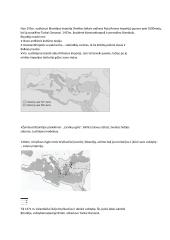 Viduramžių periodizacija 2 puslapis