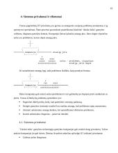 Operatyvaus gamybos valdymo teorija "just-in-time" 19 puslapis